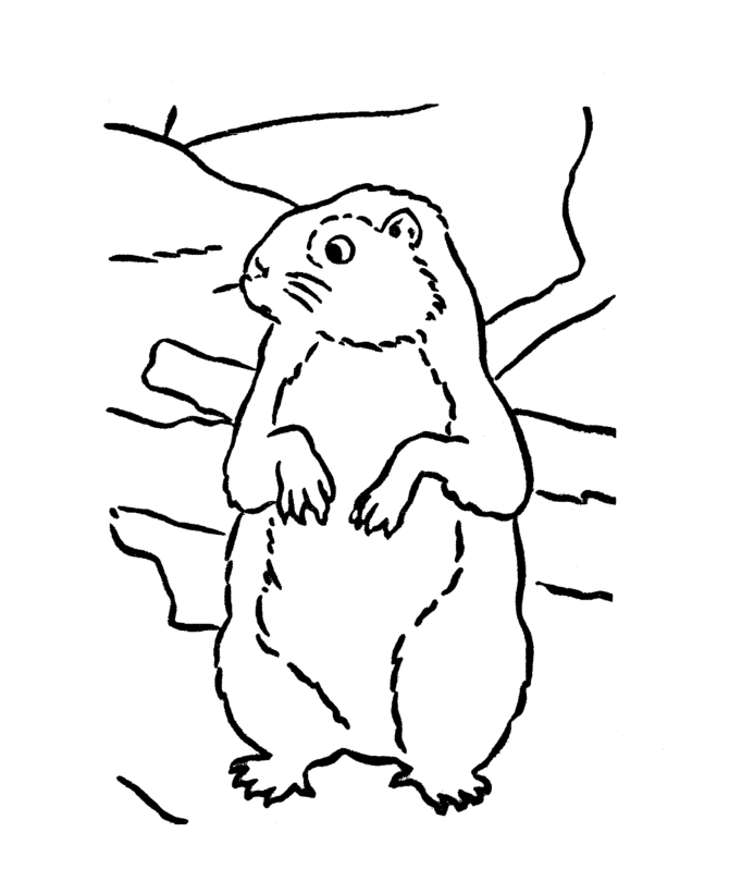 Groundhog Day Coloring Pages - Groundhog looking for his shadow