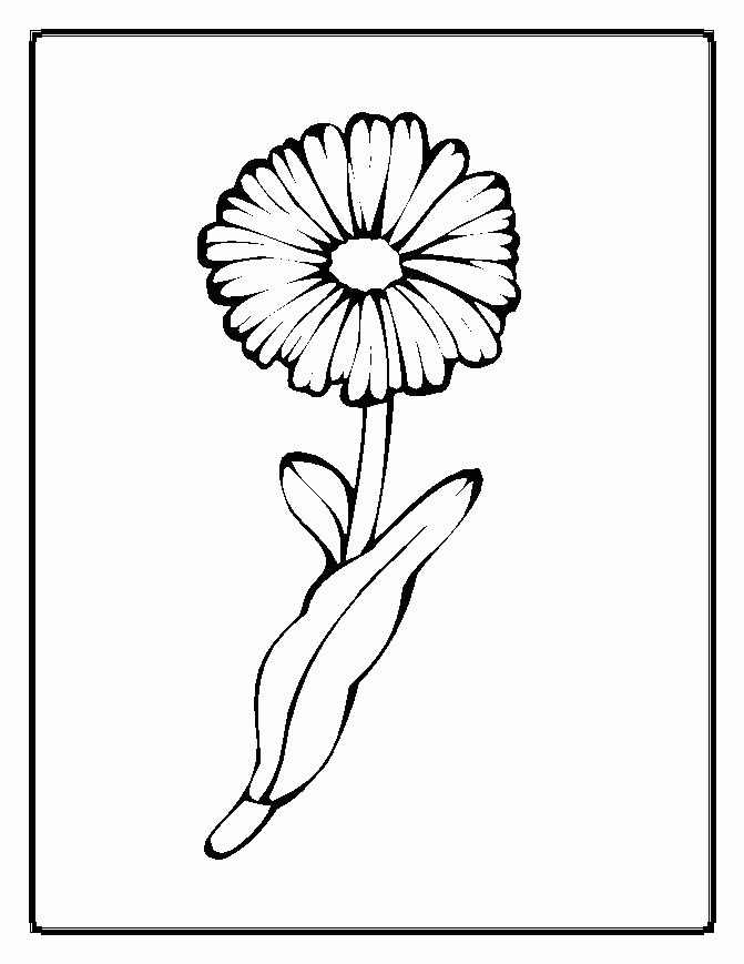 Spring Flower Coloring Pages Collections 2010