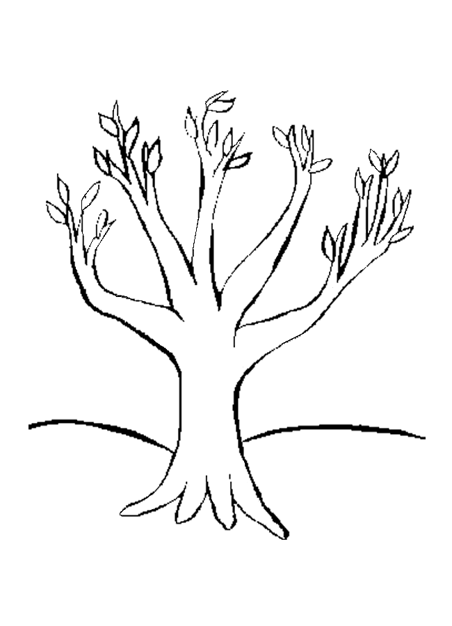 little tree coloring pages for kids | Great Coloring Pages