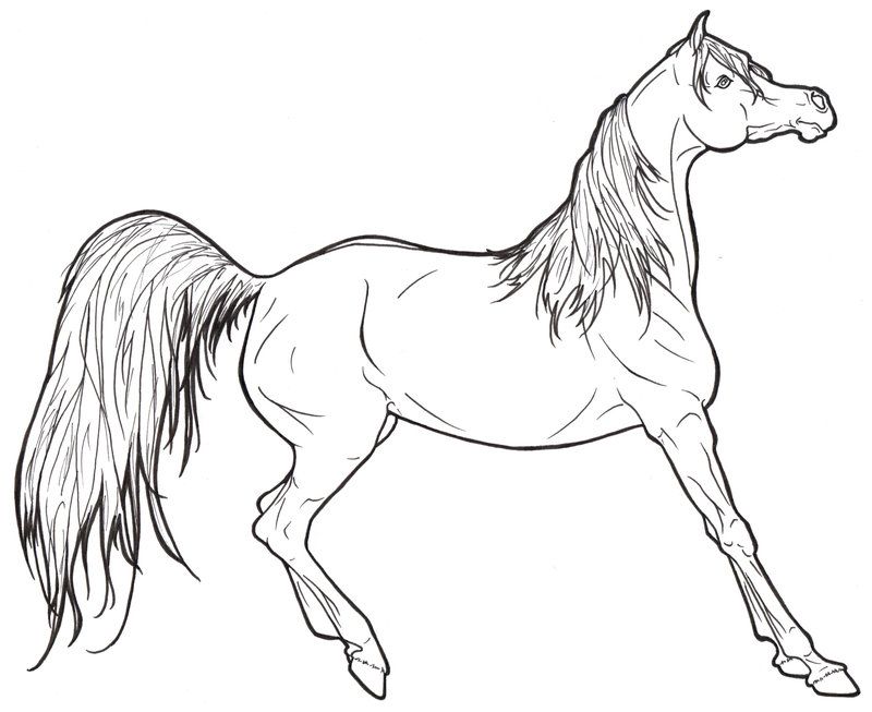 arabians Colouring Pages