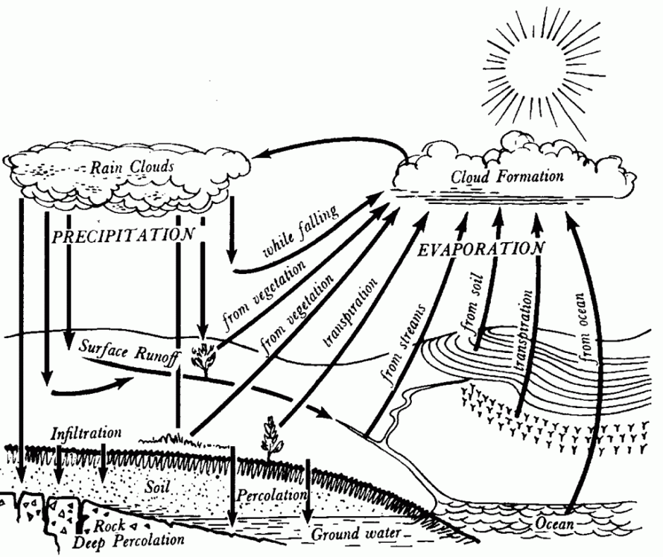 Water Cycle Coloring Pages For Kids The Coloring Pages 39941 Water