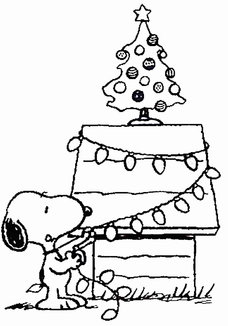 Snoopy Christmas | Snoopy & the gang