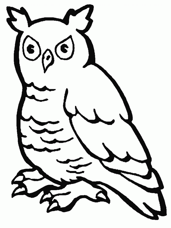 coloring picture of an owl | Coloring Picture HD For Kids