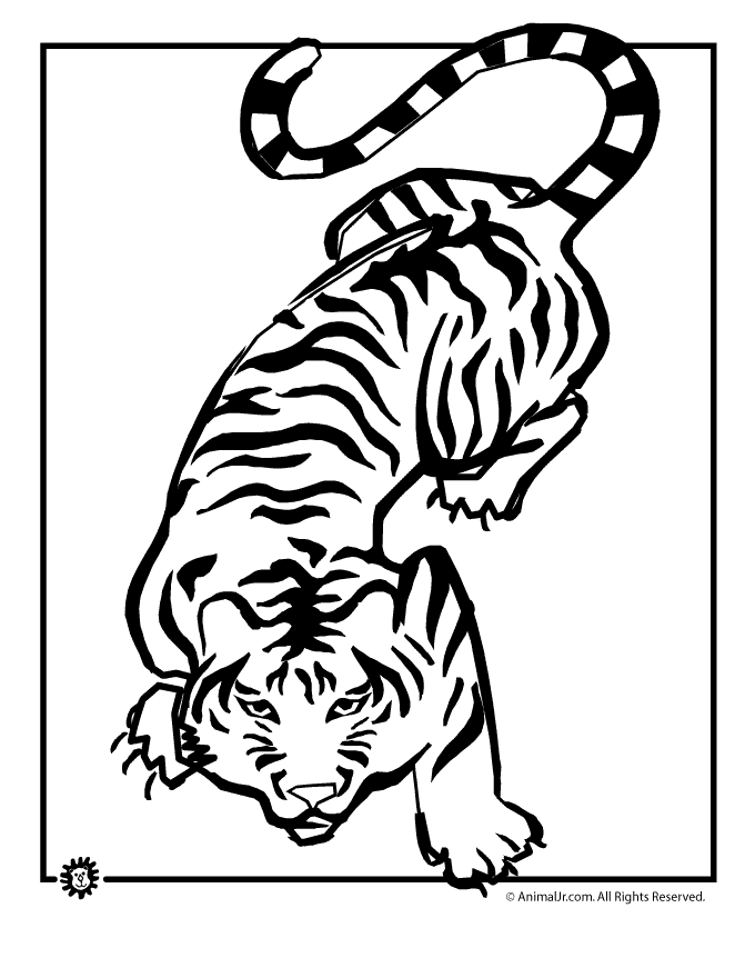 crouching-tiger-coloring-pa | Classroom Jr.