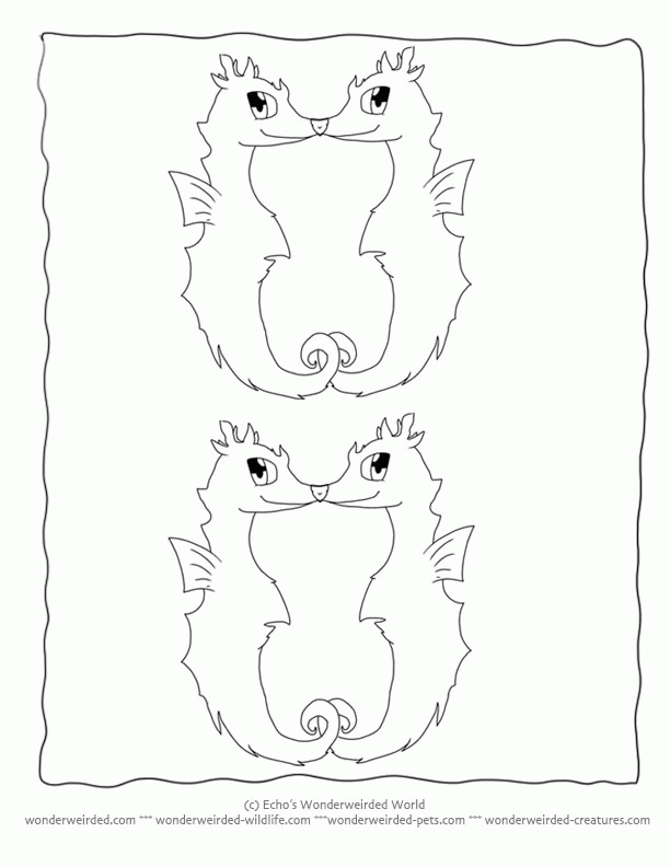 Cartoon Animals Coloring Pages Seahorse, Fantasy Coloring Pages of