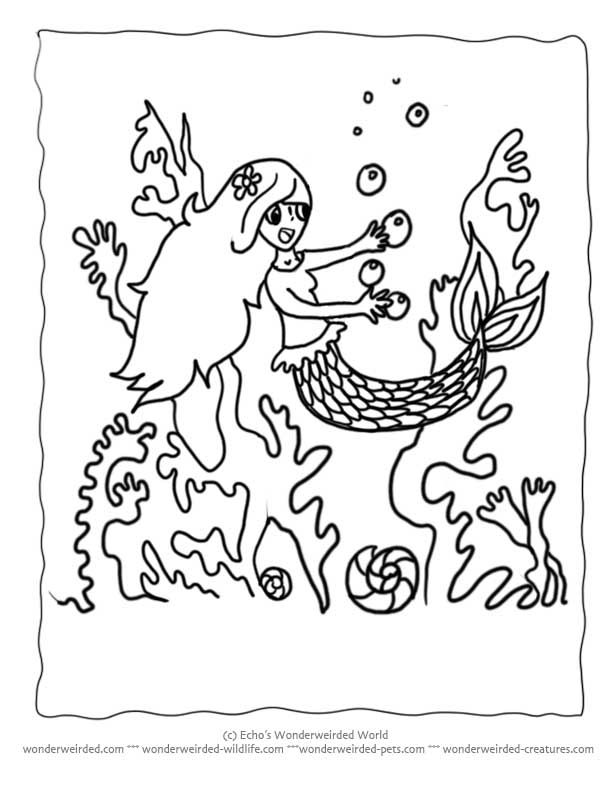 toad coloring page frog alphabet game