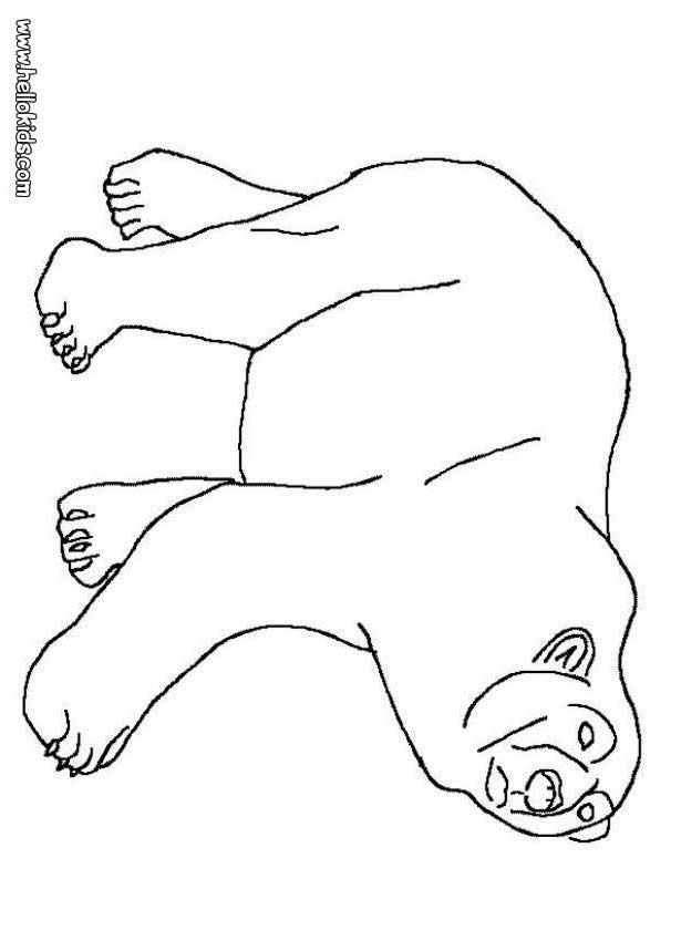 coloring > bear coloring > BEAR,COLORING,PAGES,ANIMALS,PRINTABLE