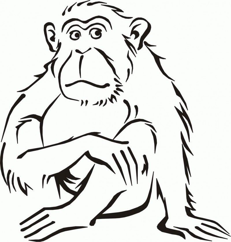 Pictures Of Monkeys To Color - HD Printable Coloring Pages