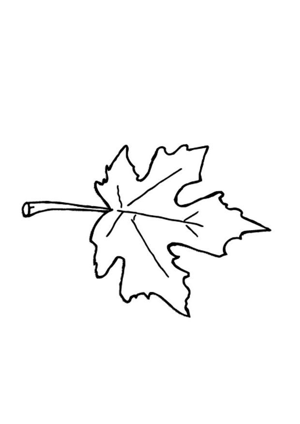 Jungle Leaf Coloring Pages Coloring Pages Of Autumn Leaf