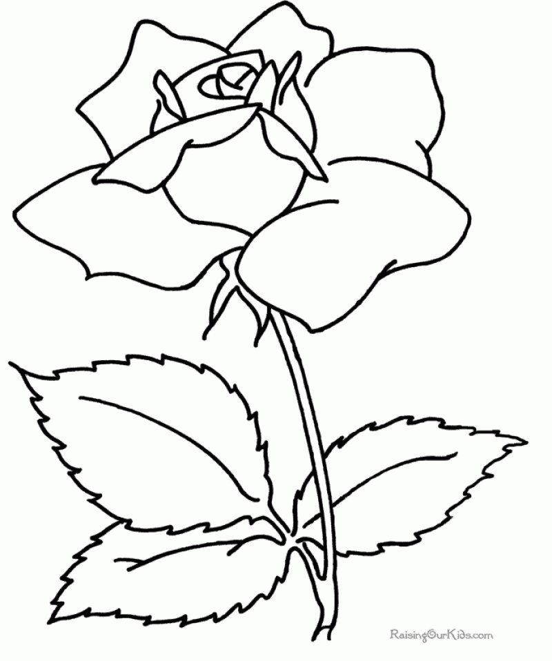 Stems Beautiful Roses Along Coloring Page - Kids Colouring Pages