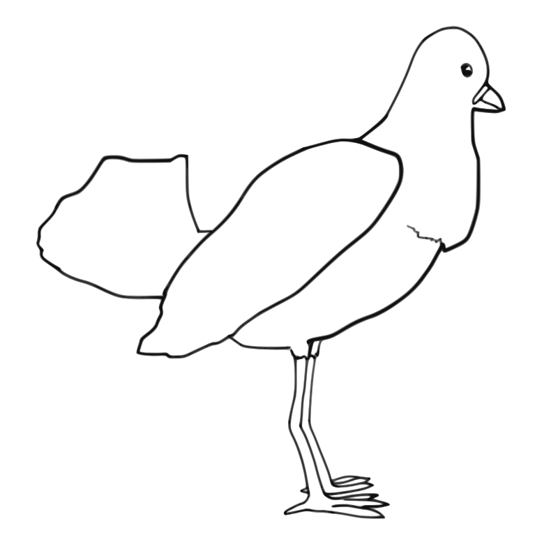Clipart - Bird (outline)