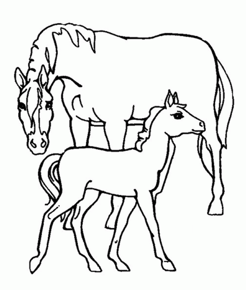Animals Horse Coloring pages for Boys | Color Printing|Sonic