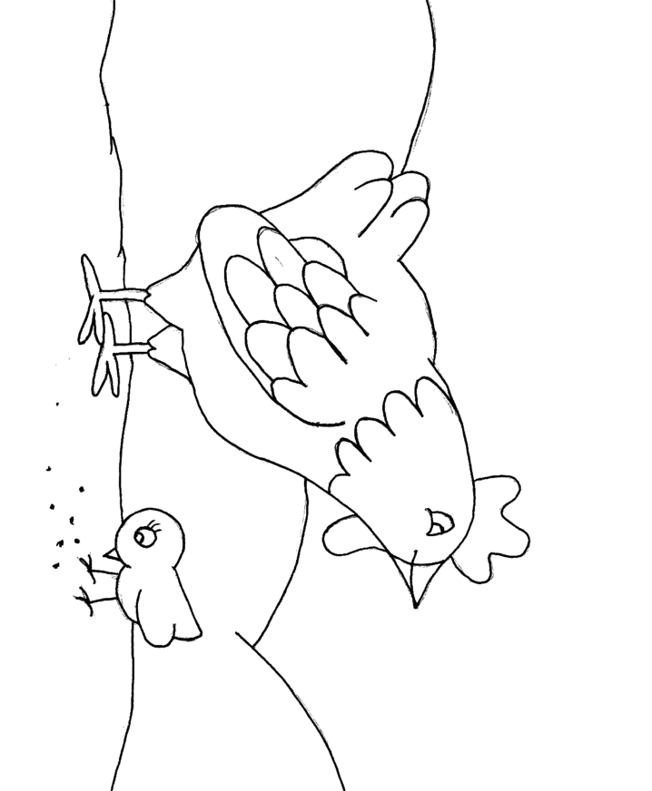 Printable Chicken Animals Coloring Pages 