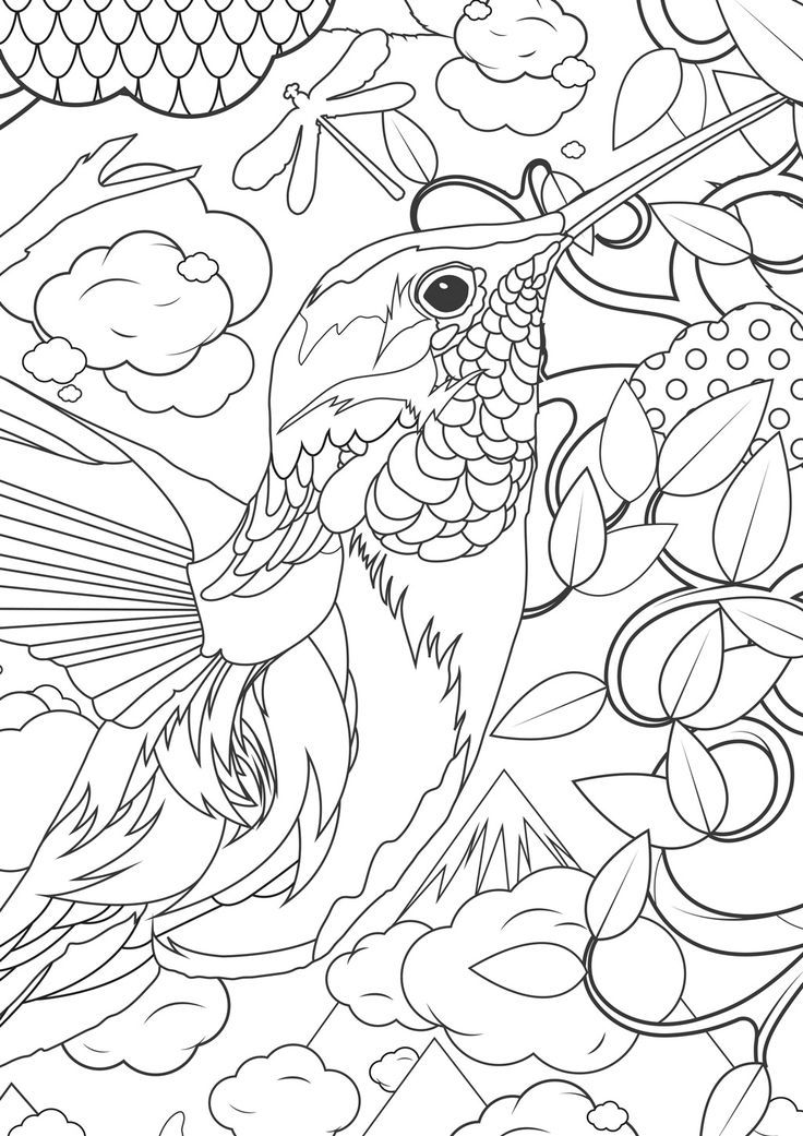 Hummingbird coloring page | Поделки, открытки, раскраски