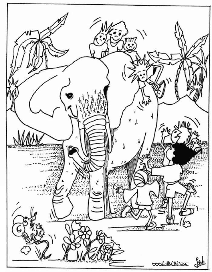 Wild Animals Coloring Page Images & Pictures - Becuo