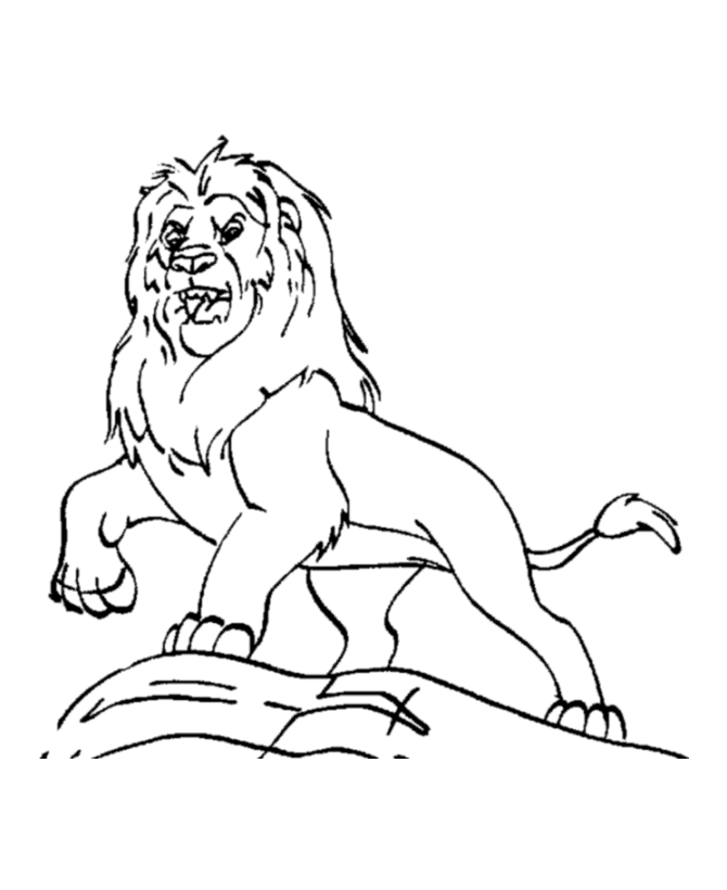 Mountain Lion Coloring Pages 240 | Free Printable Coloring Pages