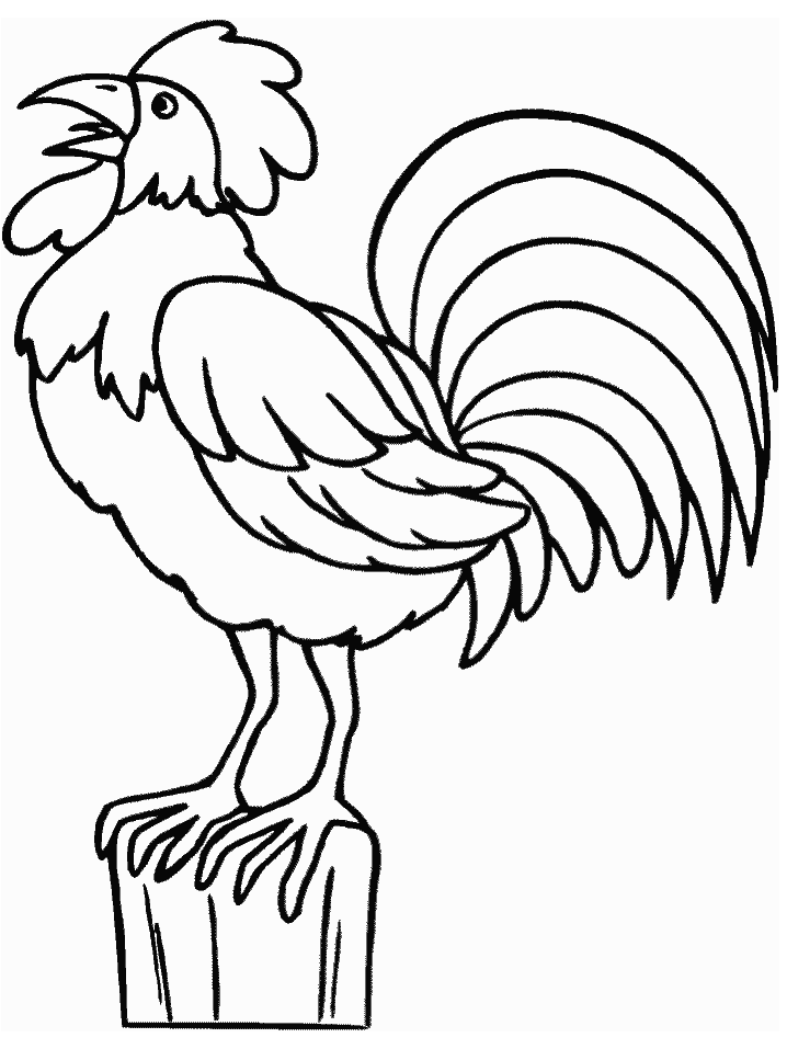 Rooster Animals Coloring Pages & Coloring Book