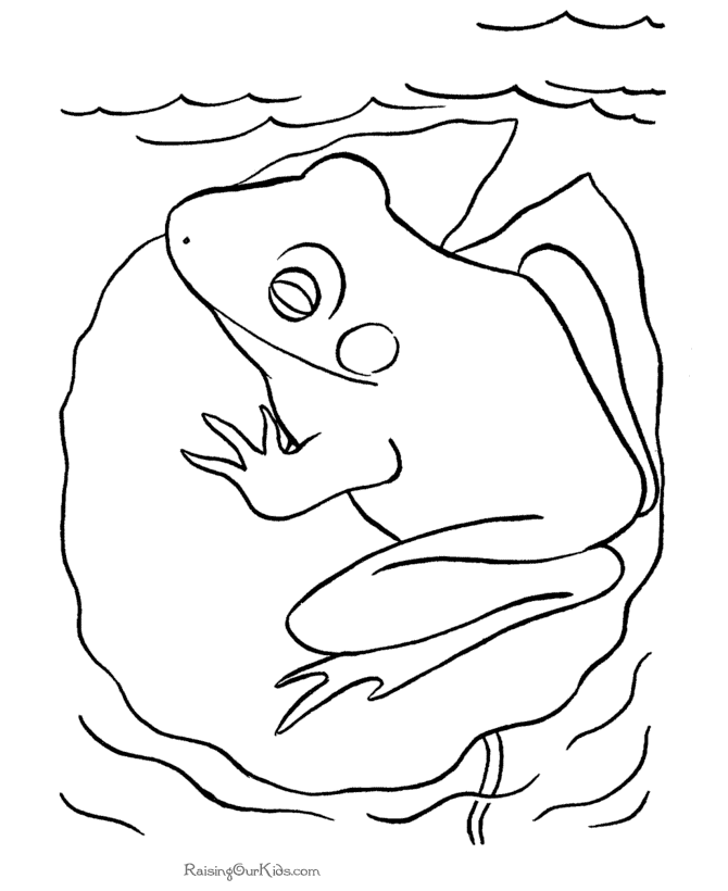 Frog coloring pages 005