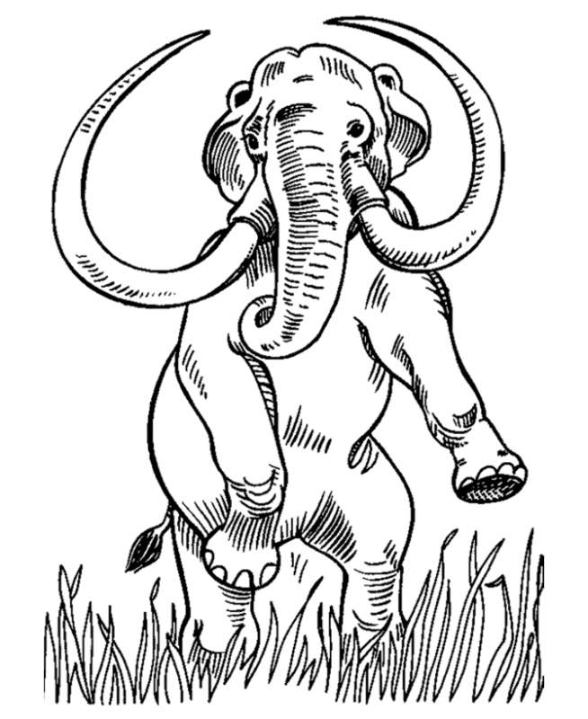 Dinosaurs Coloring Pictures – AZ Coloring Pages Wooly Mammoth ...