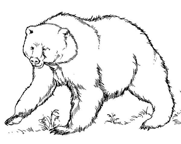 coloring page: brown bear, brown bear, what do you see? | therapy ...