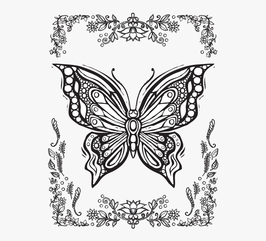 Moth coloring printout Top 25 free printable butterfly coloring pages  youtube | Clarisse.captainamericagifts.com
