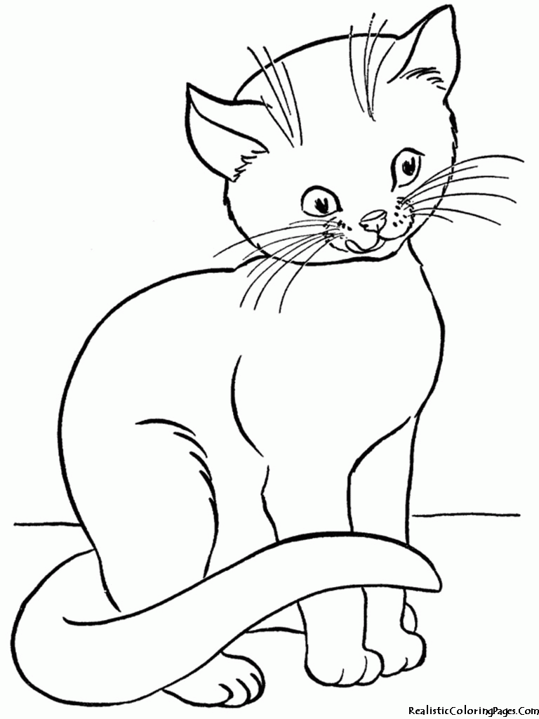 Realistic Kitten Coloring Pages - HiColoringPages