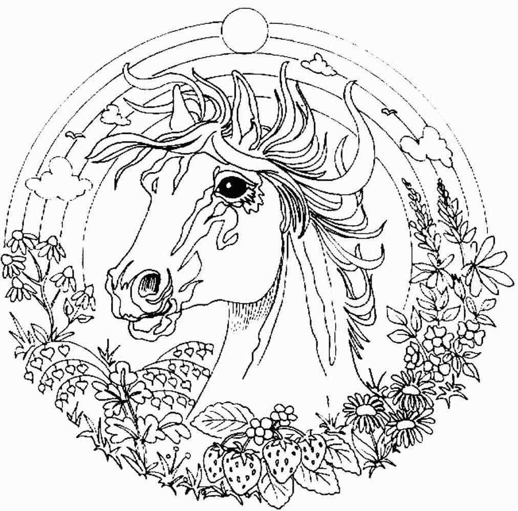 Coloring Pages: Fairy Colouring Pages Jpg Ã— Adult Coloring Book ...