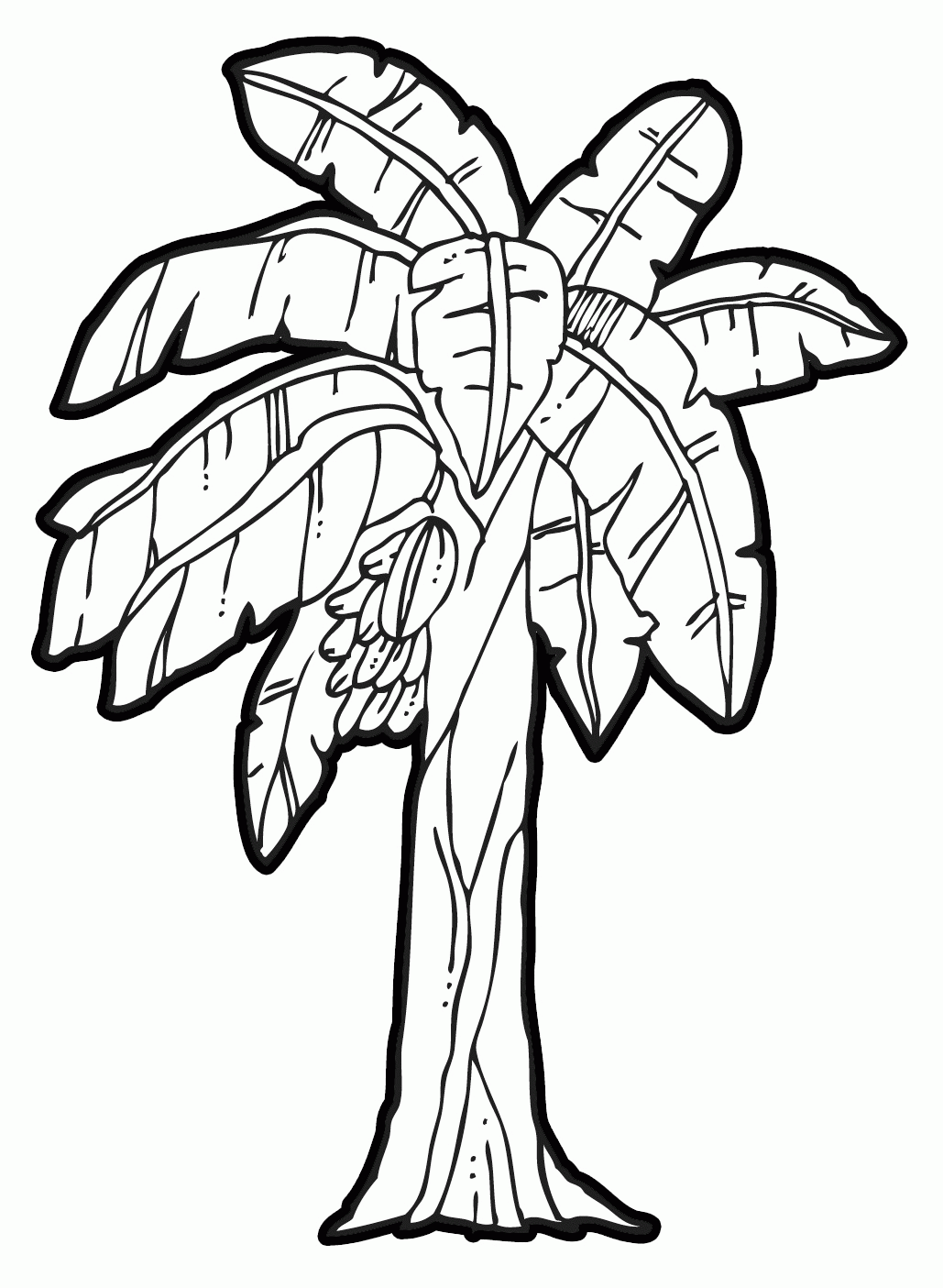 Banana Tree Coloring Sheet - High Quality Coloring Pages