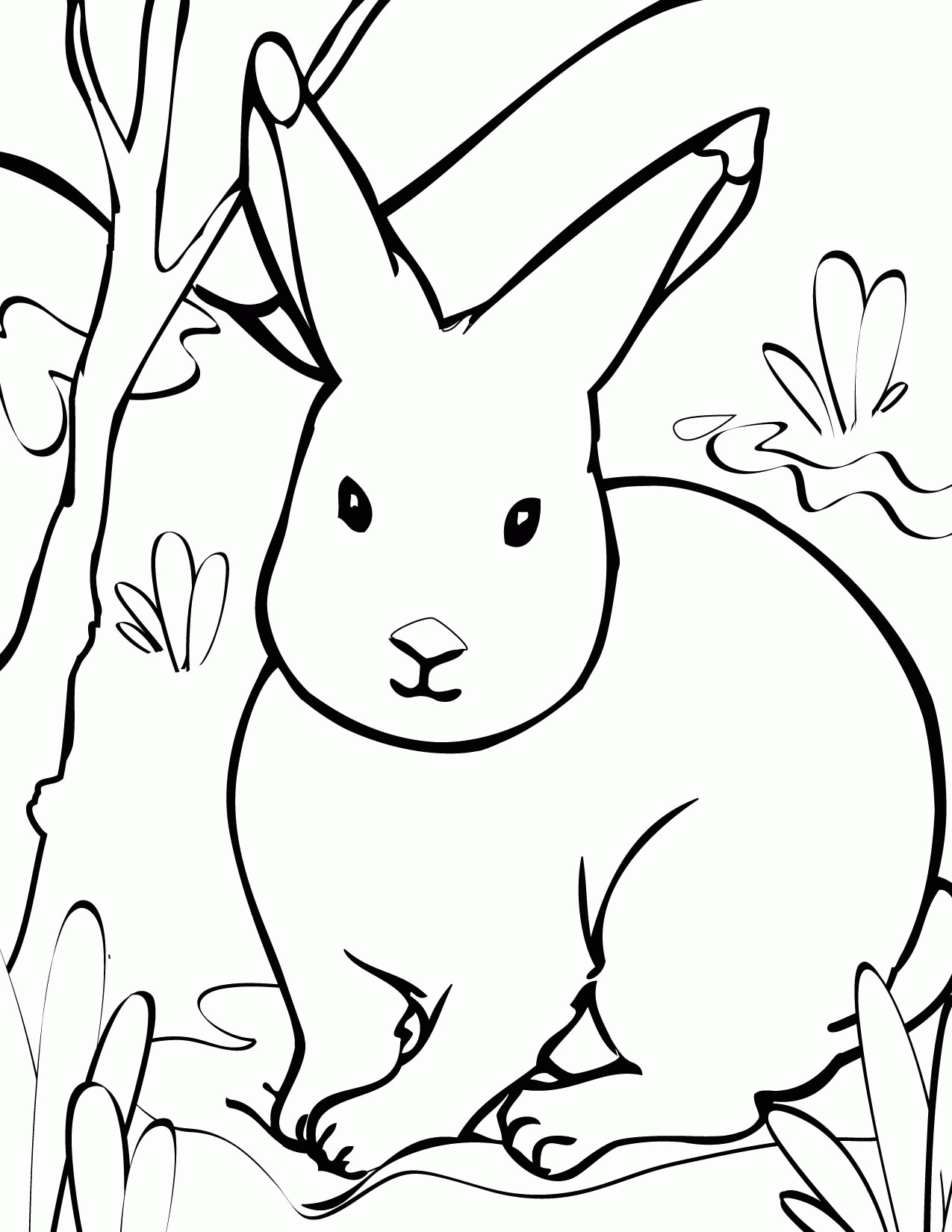 Arctic Animals Coloring Pages - Handipoints