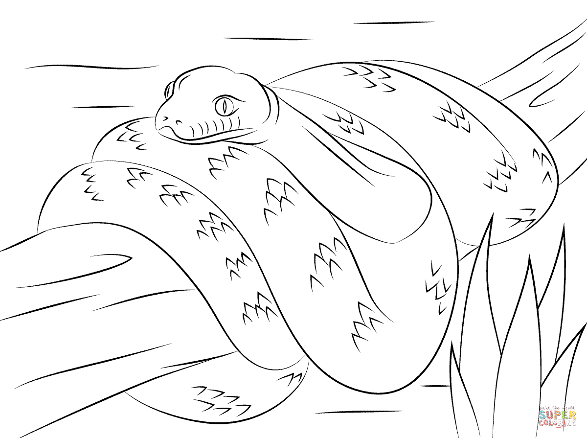 Ball Python coloring page | Free Printable Coloring Pages