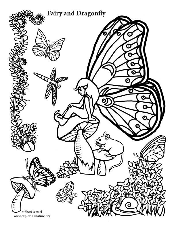Fairy and Dragonfly Coloring Page