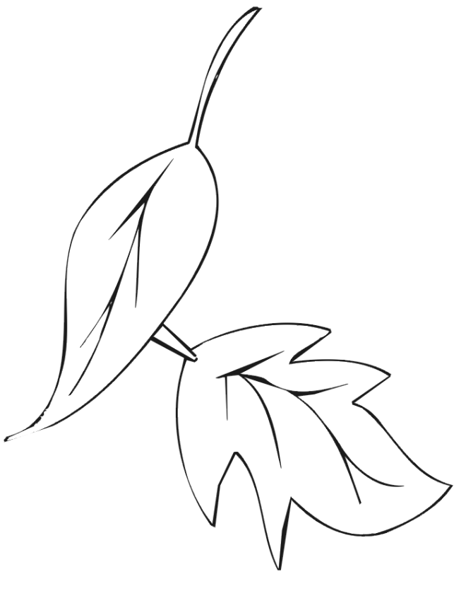 Autumn Leaves Coloring Page | 2 Fall Leaves