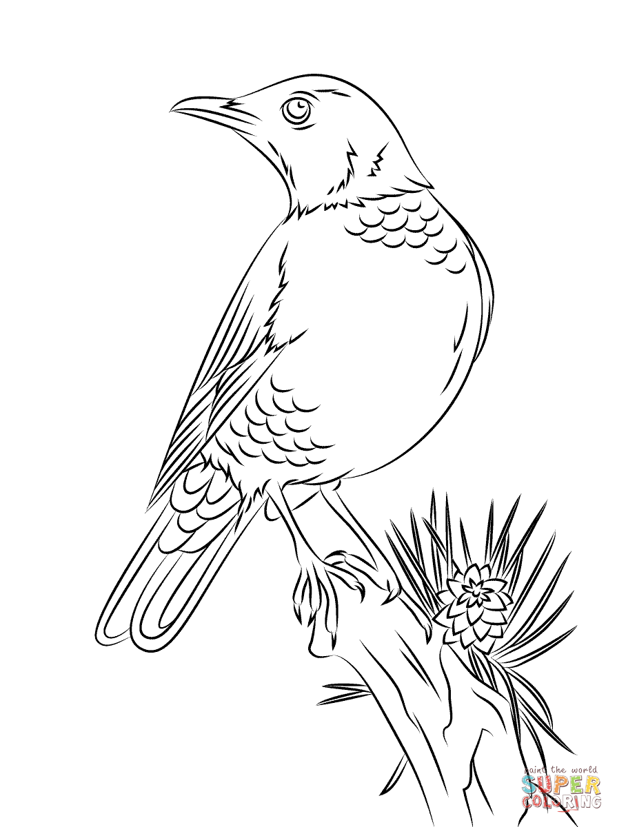 Woodland animals coloring pages | Free Printable Pictures