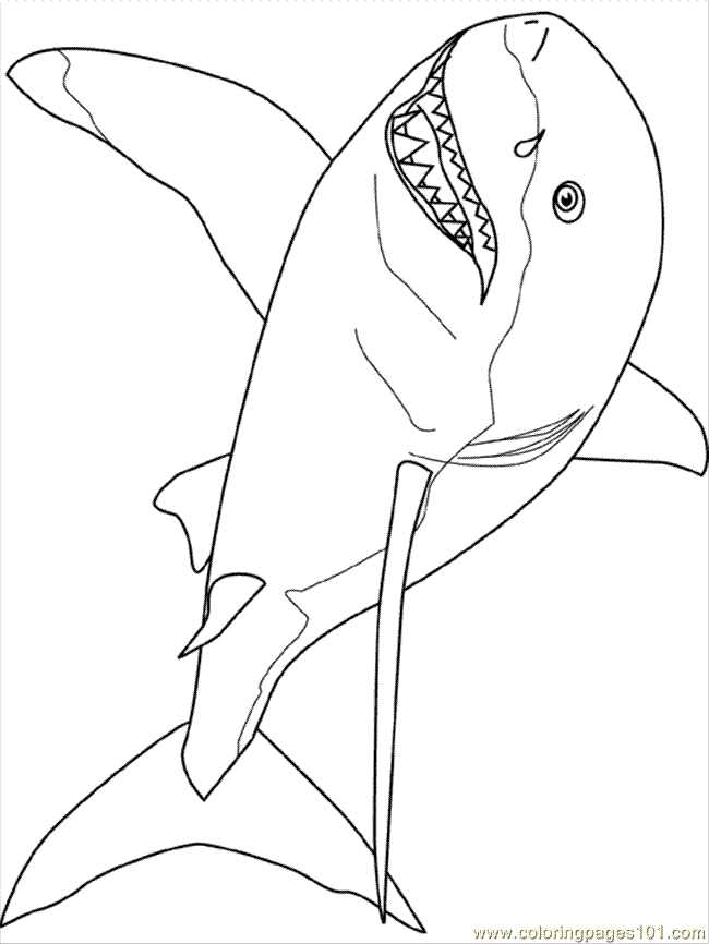 Great White Shark Coloring Pages great white shark coloring pages