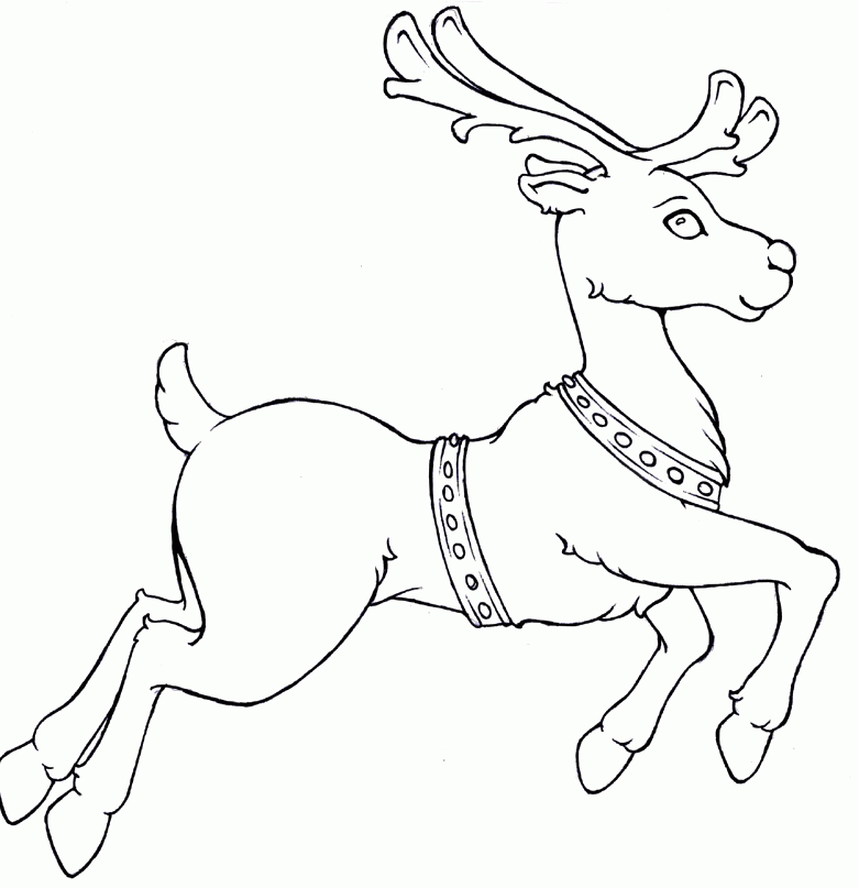 christmas reindeer Colouring Pages