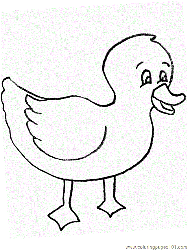 Coloring Pages Coloring Pages Duck9 (Birds > Ducks) - free