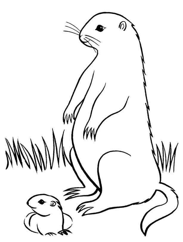 Pictures Animal Groundhog Colouring Pages - Groundhog Day Coloring
