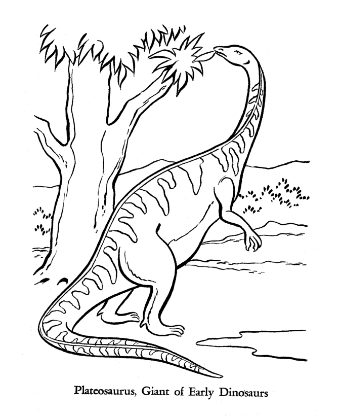 Dinosaurs Coloring Pages | Dinosaurs Pictures and Facts