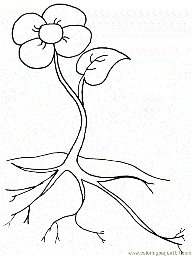 Coloring Pages Cartoon Flowers (Cartoons > Cartoon Flowers) - free