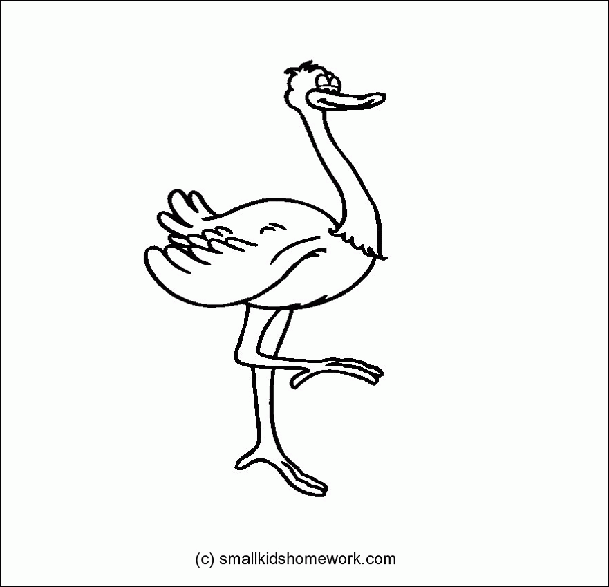 Ostrich - Outline and Coloring Picture