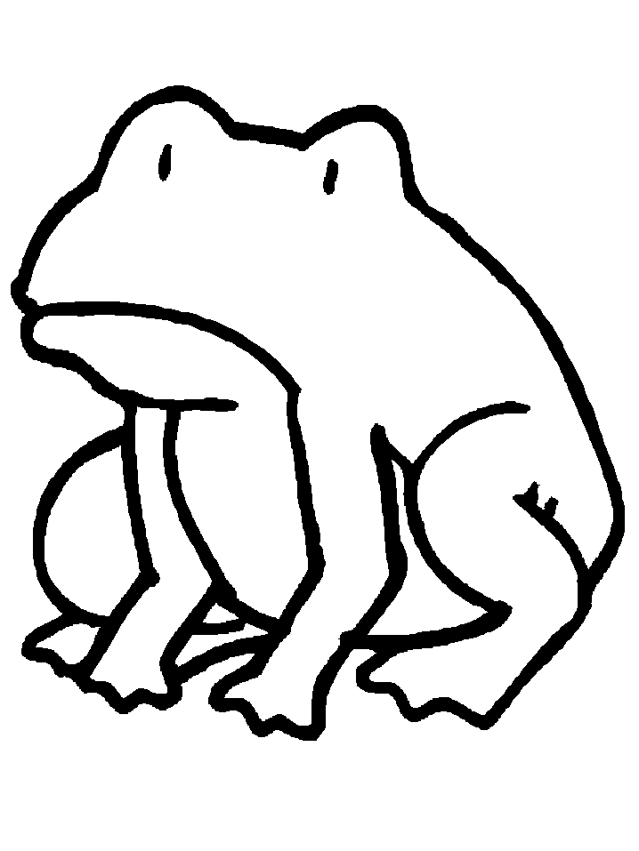 Frogs 15 Animals Coloring Pages & Coloring Book