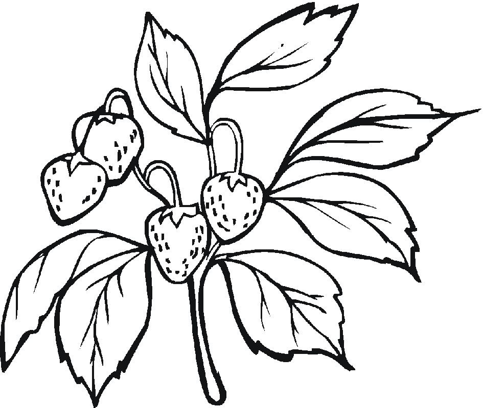 Strawberry 23 Coloring Pages | Free Printable Coloring Pages
