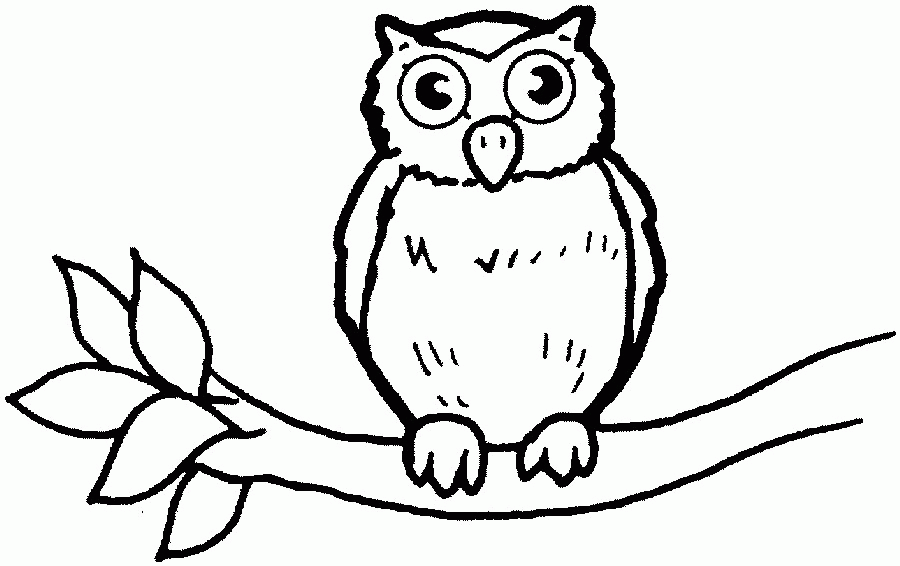 Owl Coloring Pages For Kids - Free Coloring Pages For KidsFree