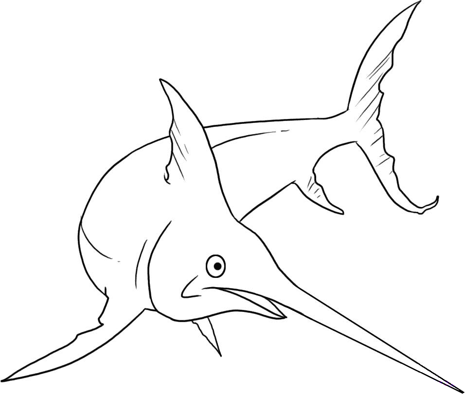 Swordfish coloring page - Animals Town - animals color sheet