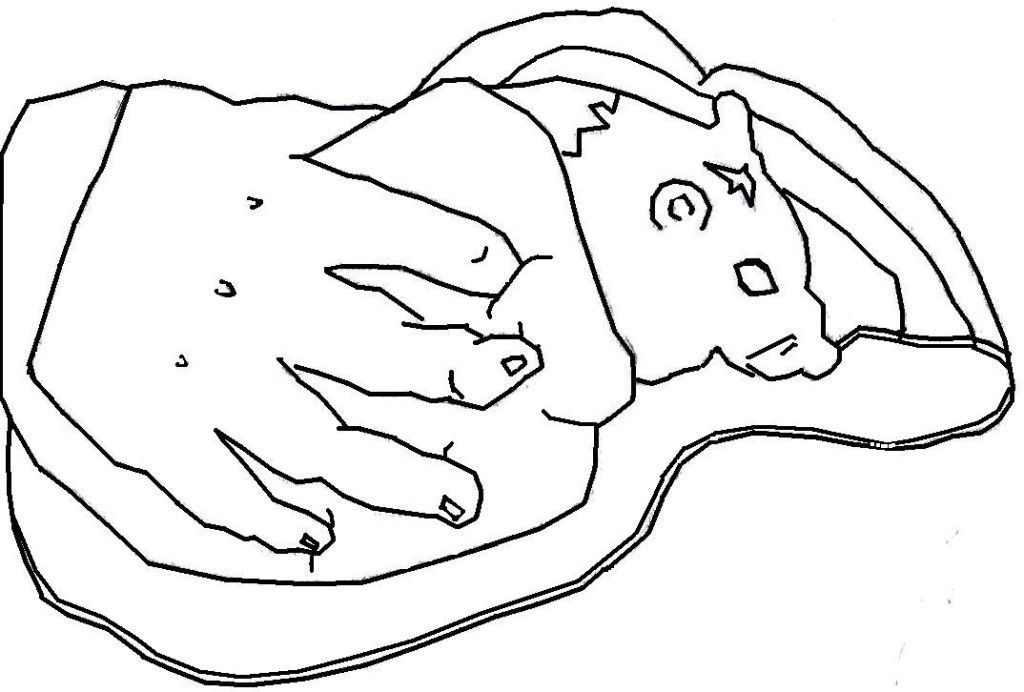 Webkinz Coloring Pages Free Coloring Pages For Kidsfree Coloring