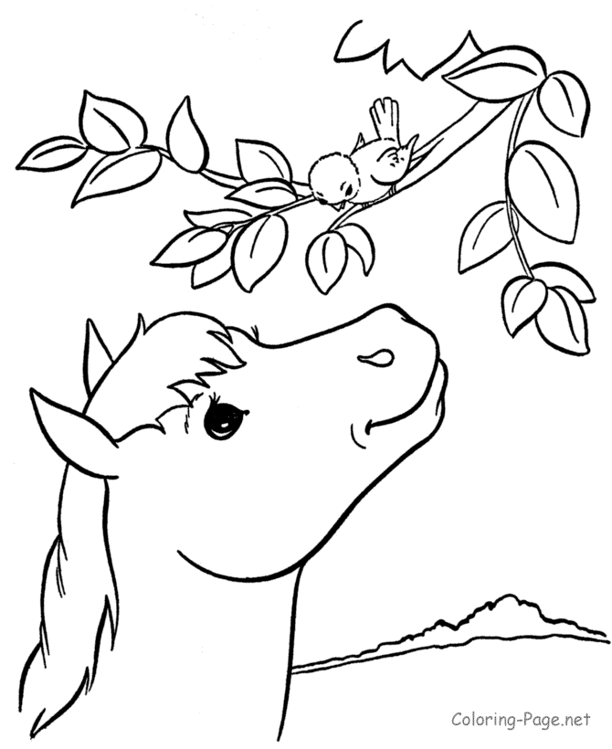 Horse Coloring Page - Pony at tree