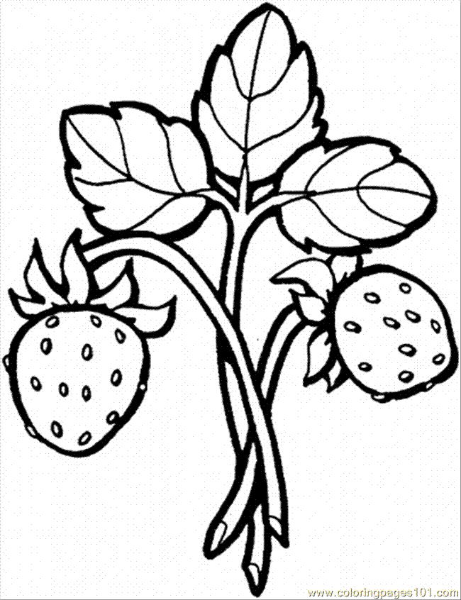 Coloring Pages Strawberry 8 (Food & Fruits > Berries) - free