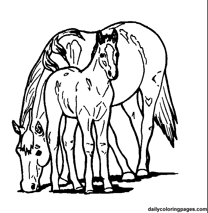 Paint Horse Coloring Pages 174 | Free Printable Coloring Pages