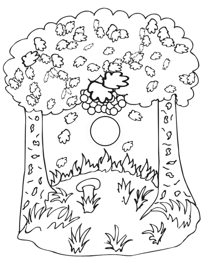 Autumn Coloring Page | Autumn Trees