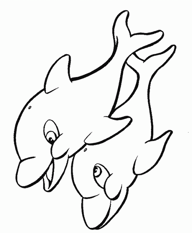Sea animals Coloring pages – Dolphins | coloring pages